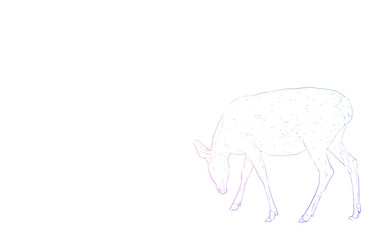 写実的な動物イラスト、虹色の雌鹿が足元を見る姿