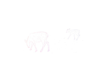 写実的な動物イラスト、虹色の鹿の親子がいる風景