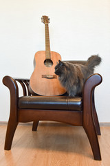 Acoustic six-string guitar and vintage leather armchair