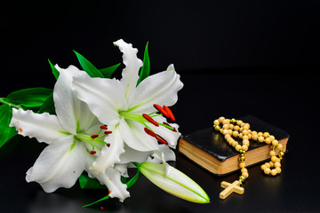 White lily  flower with pollen  wooden rosary and bible on   black background