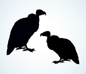 Vulture. Vector drawing icon sign