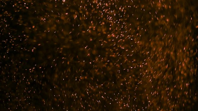 A whimsical dance of snowflakes.