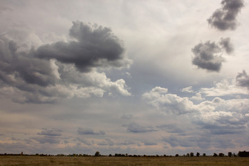 huge cumulus rain clouds and clouds in the sky in the sunshine above the field