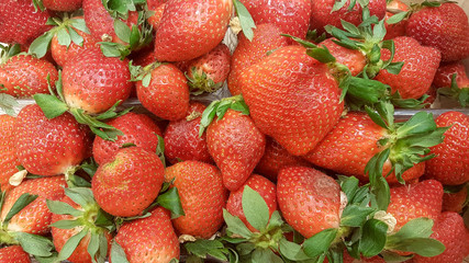 strawberries ripe red fresh  background in a super market