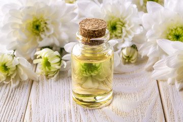 Close-up of chrysanthemum essential oil in a glass bottle and white chrysanthemum flowers on a wooden surface. Spa, beauty, skincare and cosmetology concept.
