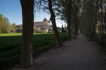 A nice footpath among the trees with the Uclés monastery in the background, Uclés, Cuenca, Castilla La Mancha, Spain