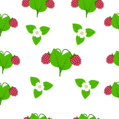 Berries and flowers raspberry with green leaves on a white background. Seamless pattern of juicy berries. Vector illustration of the basic design.