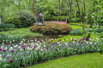 flowers in the garden