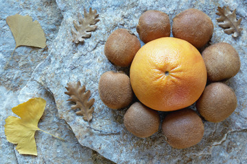 Autumn. Fruits and yellow leaves. Grapefruit and kiwi look like flower. Natural stone background. Flat lay
