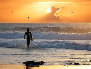 SILHOUETTE: Surfer walking into the water holding surfboard to catch the last waves before the sun...
