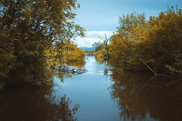 Obraz premium autumn landscape Golden autumn reflection of trees in the water