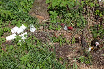 Umweltverschmutzung Müll im Wald