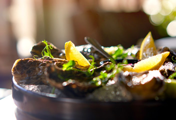 plate with oysters and lime