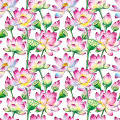 Seamless texture (pattern) with lotuses on white background