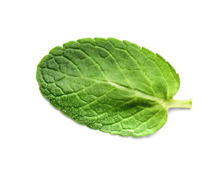 Fototapeta na wymiar Fresh green mint leaf isolated on white