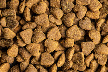Dried kibble pet food. Heart shape dried animal food.