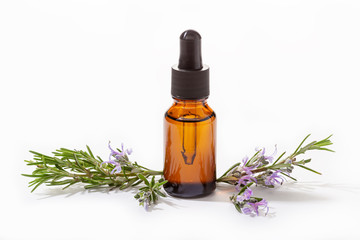 Rosemary essential oil in glass bottle isolated on white background. Salvia Rosmarinus oil