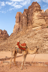 Wadi Rum Desert in Jordan - obrazy, fototapety, plakaty