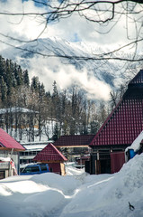 Fototapete bei efototapeten.de bestellen   