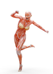 muscle woman running in white background rear view
