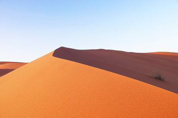 Fototapeta na wymiar Sand dunes in Saudi desert - Beautiful Arabian desert
