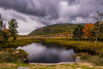 Stormy day in Acadia National Park