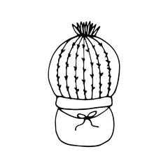 Single cute hand drawn cactus pot. Doodle vector illustration house plant for wedding design, logo, greeting card or seasonal design. Isolated on white background.