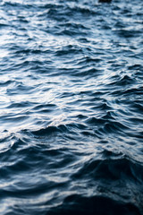 Naklejka premium 海面