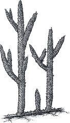 Asteroxylon illustration, drawing, engraving, ink, line art, vector
