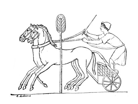 Picture of chariot rider in the old book Zarys Malarstwa, by Jodko, 1888, Lwow