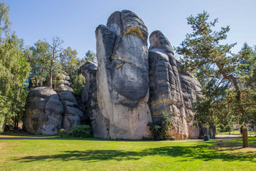Fototapeta na wymiar Rock forest in the Czech Republic