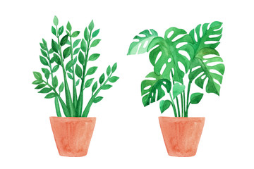 Fototapeta premium Watercolor hand painted house green plants in flower pots. Urban tropical jungle. Set of floral elements isolated on white. Monstera and Zalmioculcas.