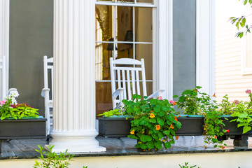 Historic Garden district in New Orleans, Louisiana with patio garden green plants flowers on white...