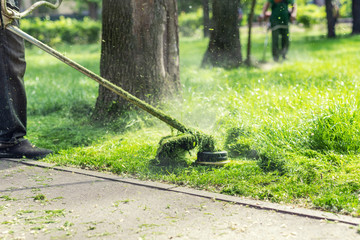 Worker mowing tall grass with electric or petrol lawn trimmer in city park or backyard. Gardening...
