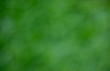 Abstract green background