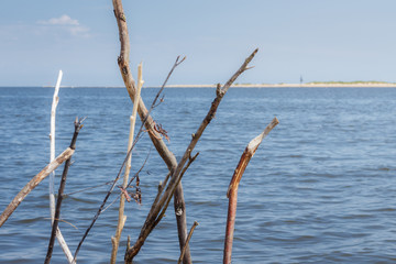Fototapeta premium Dried sticks on a background of calm sea