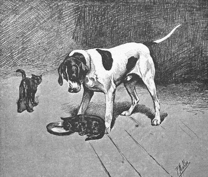The kitten drinks milk, the dog looks at the kitten by Mahler in the old book Catalogue Illustre, by L. Baschet, 1898, Paris