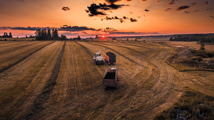 Harvesting equipment in a sunset meadow, with a variety of furrows from work.