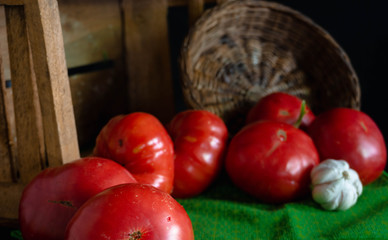 tomatoes in a basket