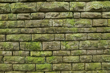 Natursteinmauer mit Moos