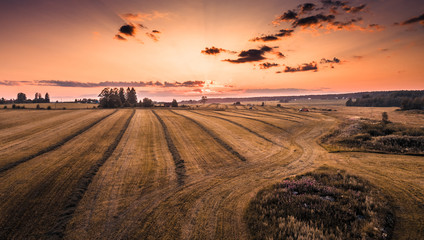 Aerial shot of harvest fields at sunset.