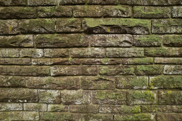 Natursteinmauer mit Moos