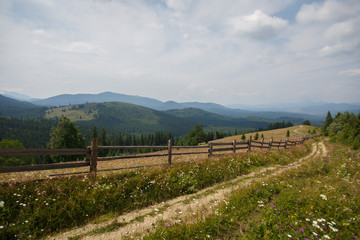 Fototapeta na wymiar Carpathian landscape. Dirt road in the mountains. Hiking. Rural landscape in Carpatians, Ukraine. Coniferous forest and beautiful sky. Wooden fence. Panorama of mountains from Mount Kostrycha, Ukraine