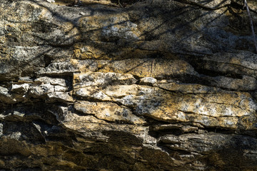 Shadows and light on a stone surface on a sunny spring day.