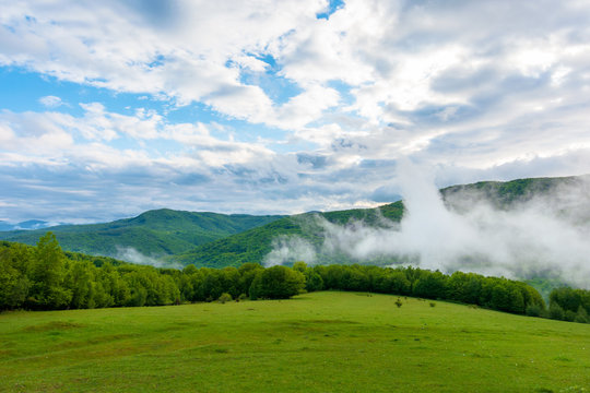 clouds and fog rising above the beech forest. morning mountain scenery of carpathians in spring. green grass on the meadow on the foreground