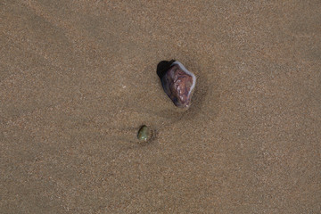 Beach Rock