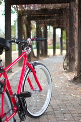 Bicicleta roja frente a camino de árboles