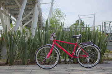 Fototapeta premium Bicicleta bajo un puente