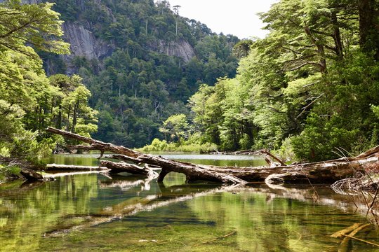 Huerquehue inagotable