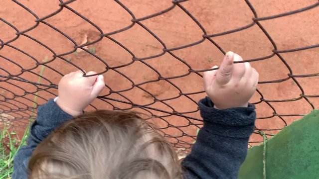 Closeup of baby hands holding intp fence watching game